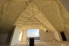 IMG_8416-scaled